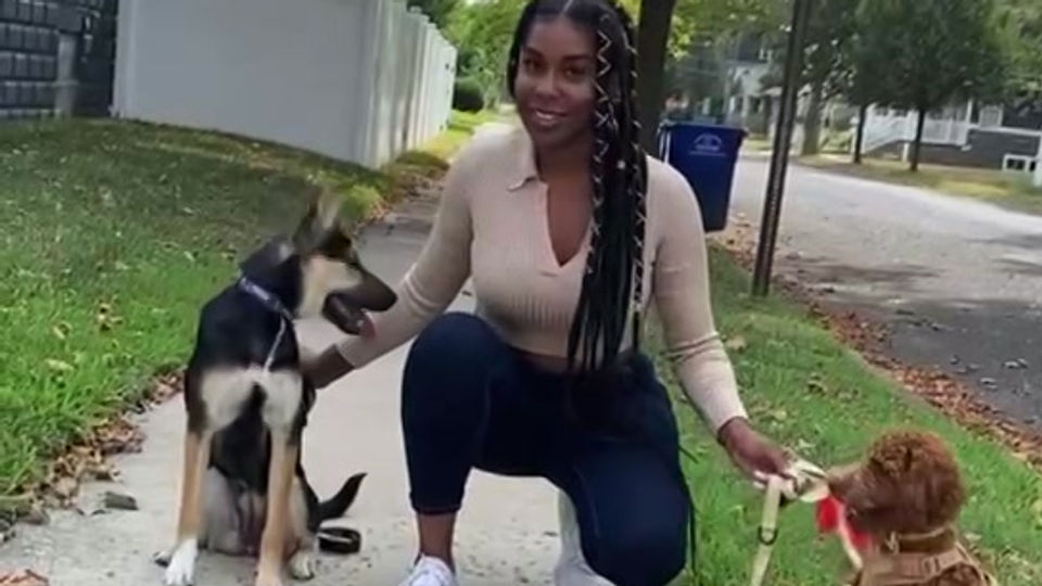 Posing with training dogs!